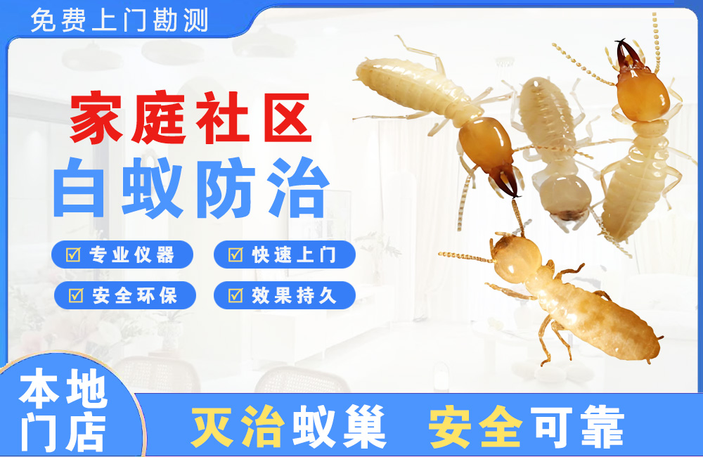 黄山家庭社区白蚁防治