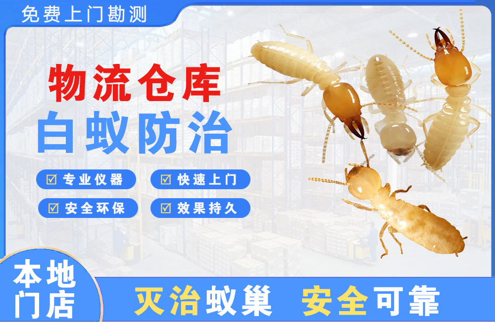 黄山物流仓库白蚁防治