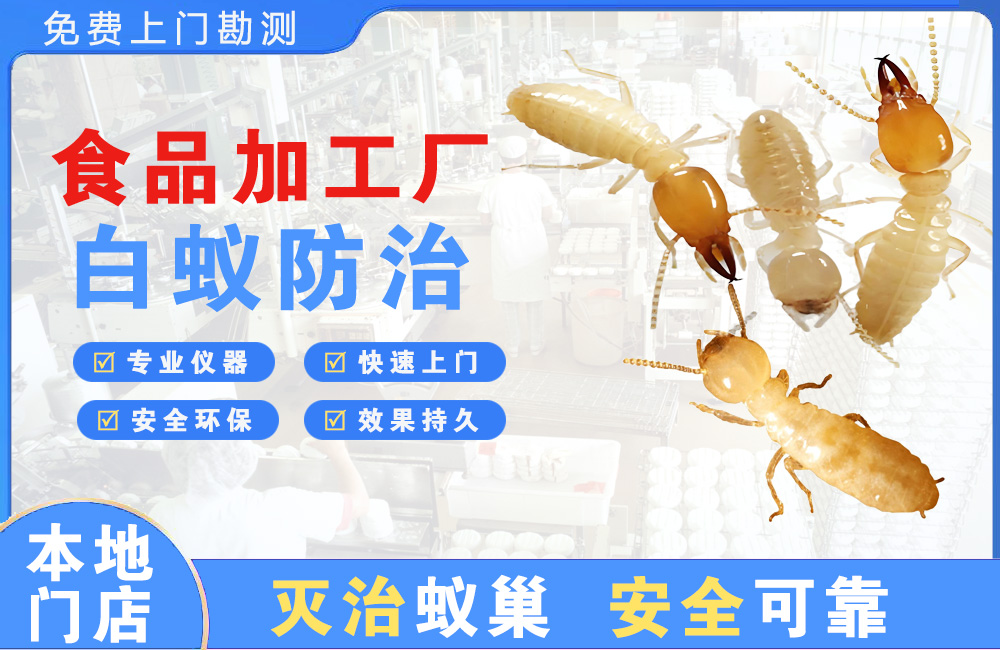黄山食品加工厂白蚁防治