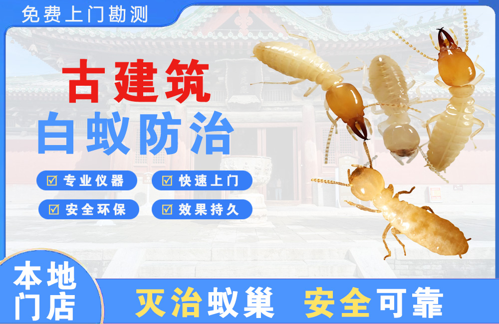 黄山古建筑白蚁防治