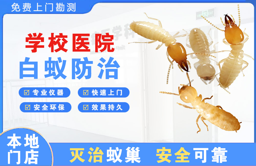 黄山学校医院白蚁防治