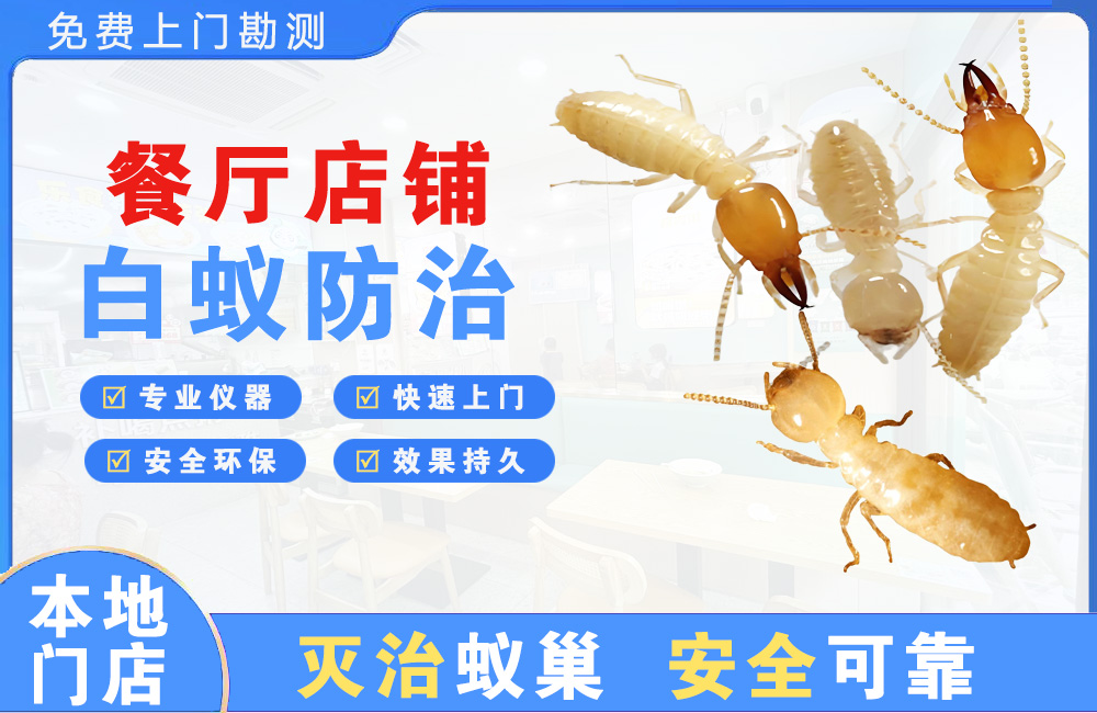 黄山餐厅店铺白蚁防治